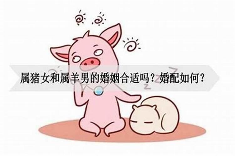 猪男与兔女一生运势如何