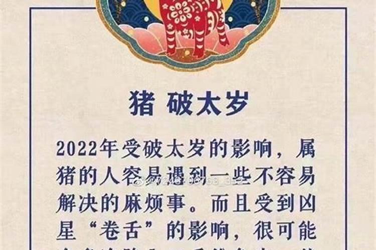 八字命中无桃花什么意思