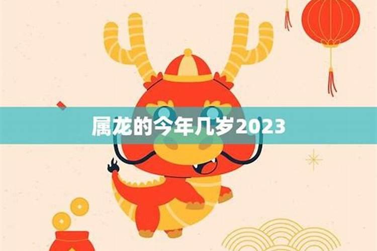 生肖龙今年几岁