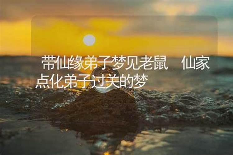 带仙缘弟子梦见买东西