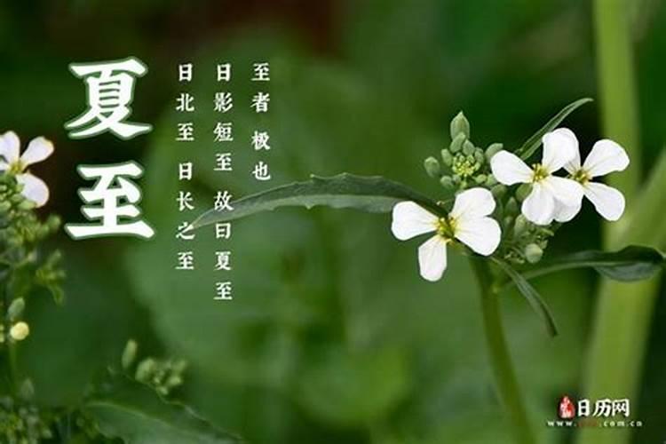 端午节的习俗剪纸