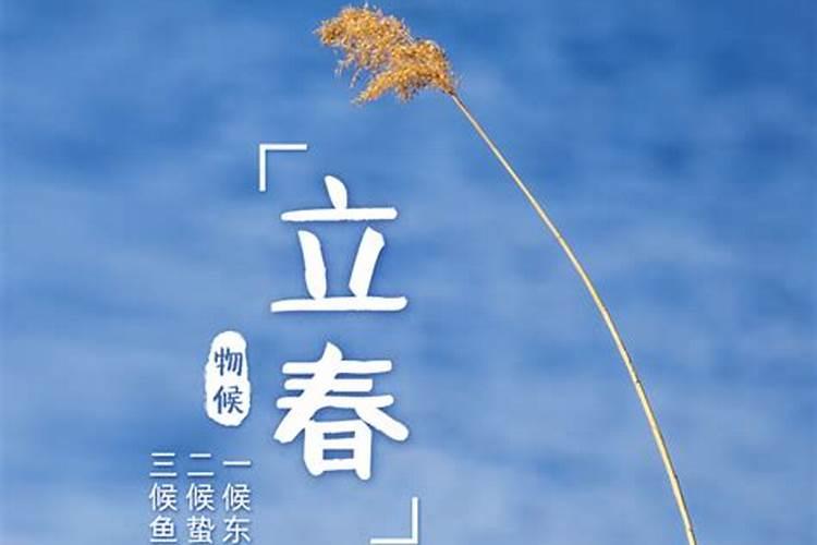 立春节气哪里立春