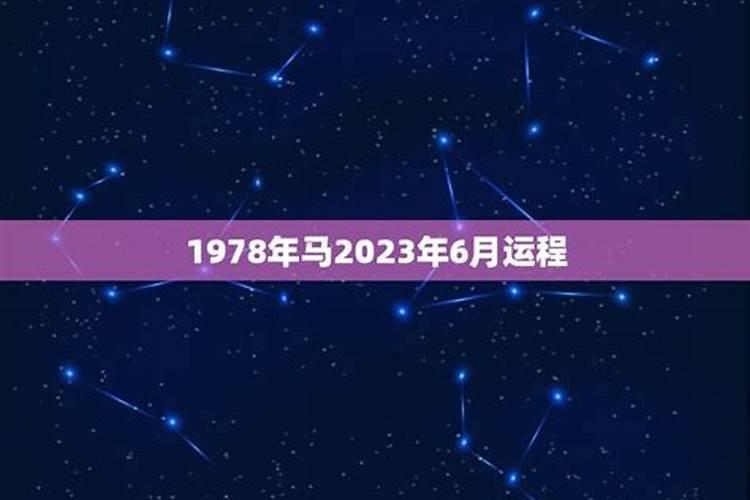 1978马2023年运势