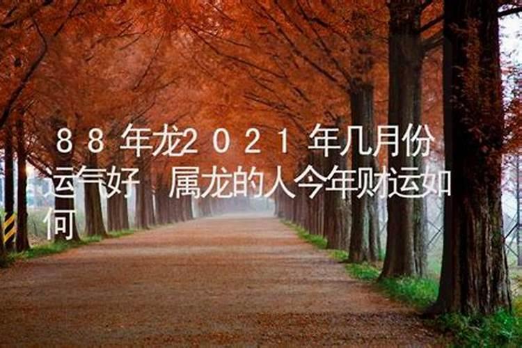 属龙的今年的运势免费