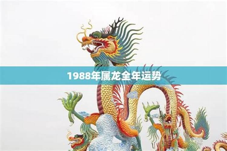 1988年属龙的运势2021