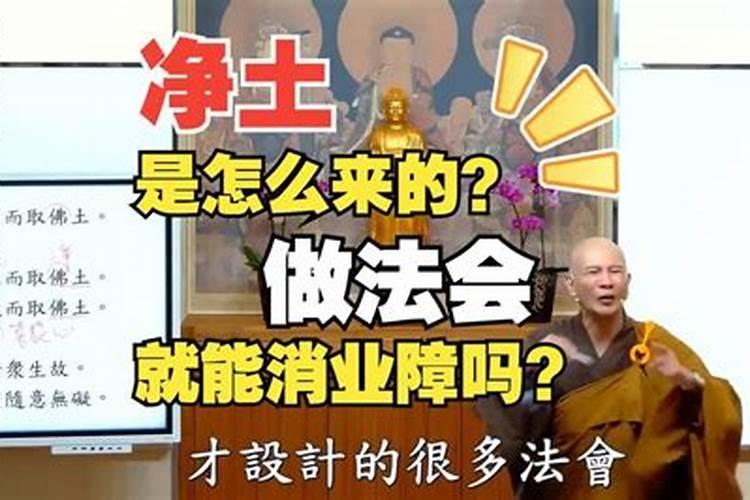 男马与女猪属相合不合婚姻呢