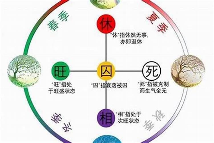 八字日元旺衰强弱的判定