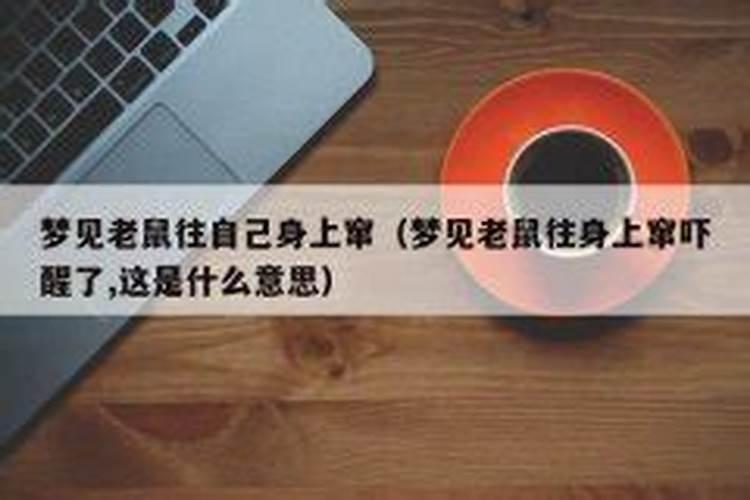 公司风水金鱼养几条好旺财的