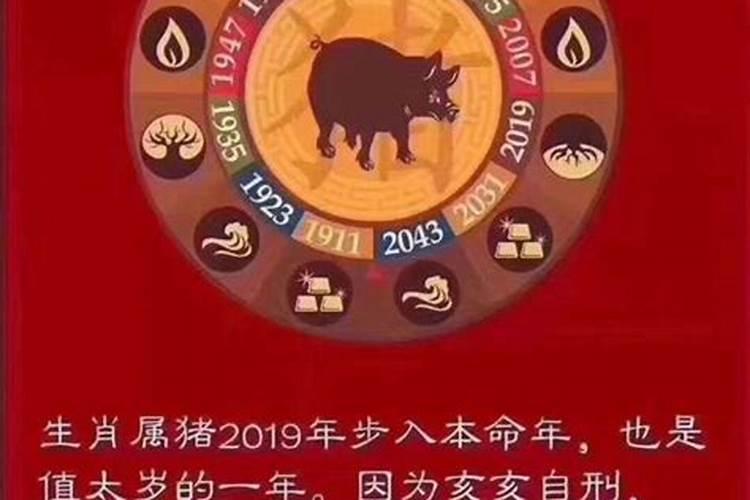 2019年犯太岁的几个生肖