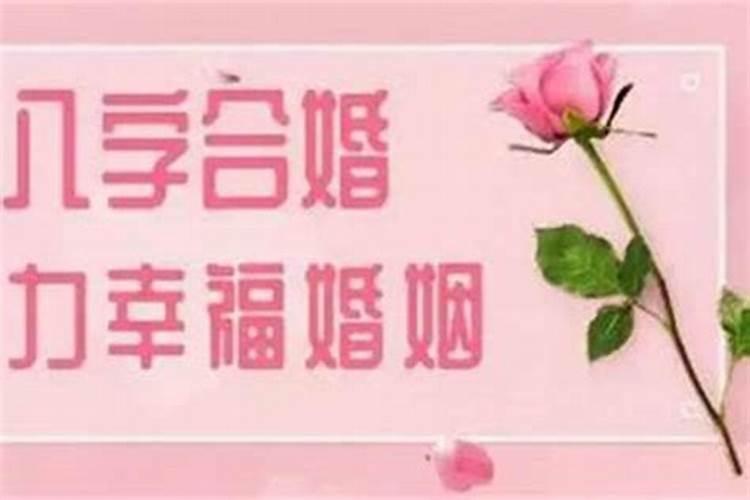 八字不合该不该离婚