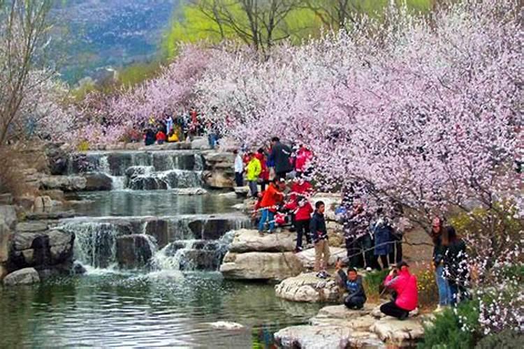 清明节去哪玩合适山东