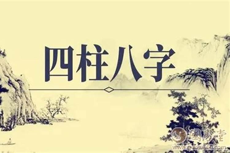 冬至之后出生的八字