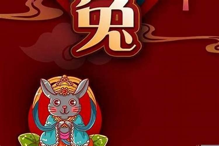 属兔的今年11月运势如何