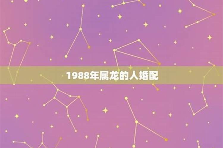 1988年的婚配选择