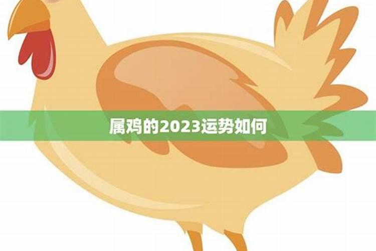 属鸡的2023运势