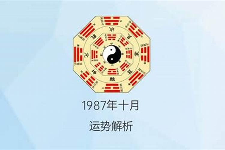 1987年出生的人一生运势怎样