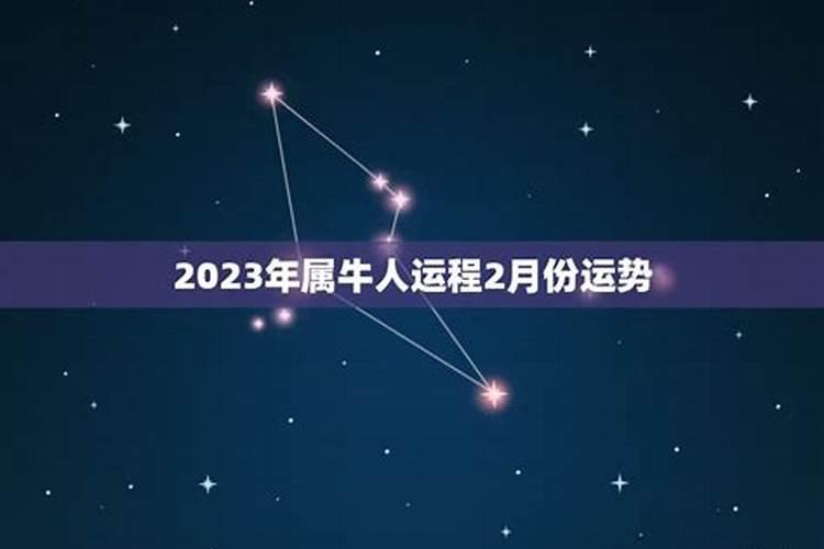 属牛2月运势2021