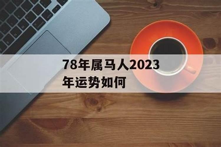 马人在2023年运势如何