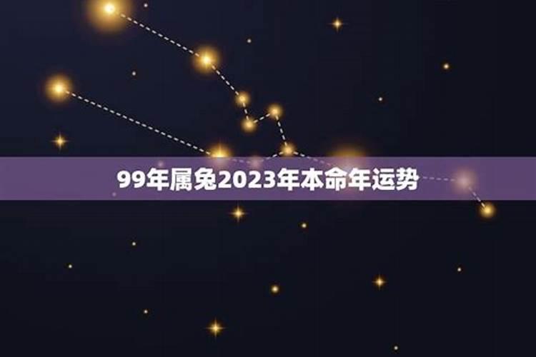 2023年的本命年猪的运程