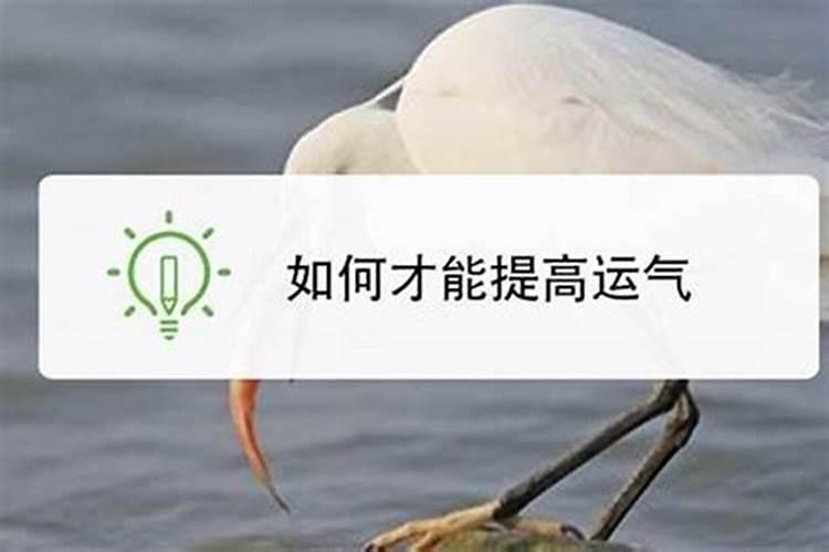 怎么改善自己的运势