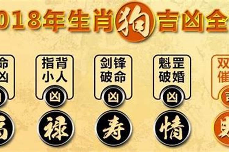 狗本命年要佩戴什么