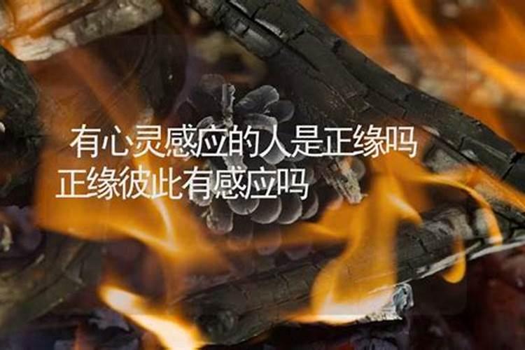 梦见老虎咬自己又走了什么预兆解梦