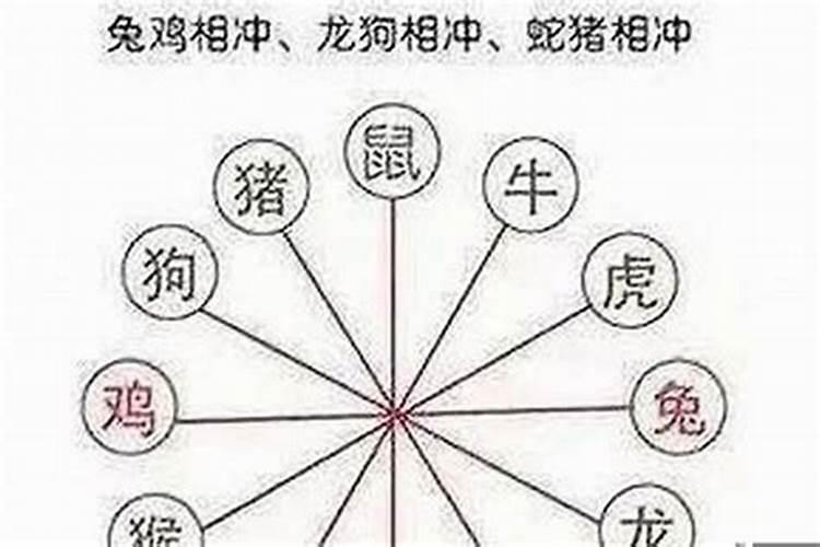 什么日子属什么生肖