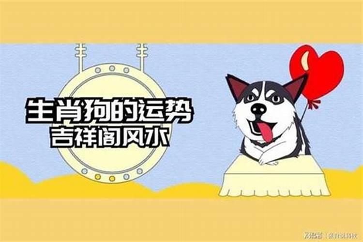 属狗的在鼠年2021年运势如何