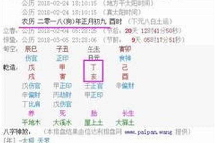 日子怎么算属什么生肖的