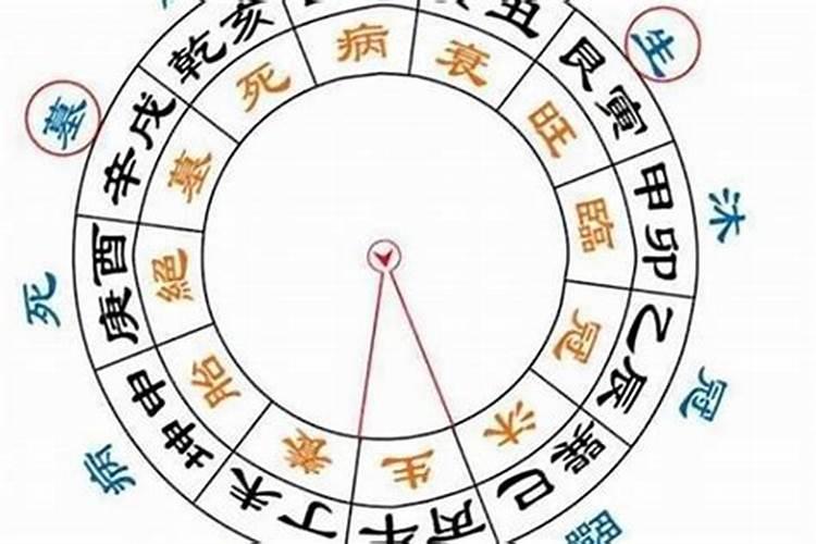 什么叫八字大运会