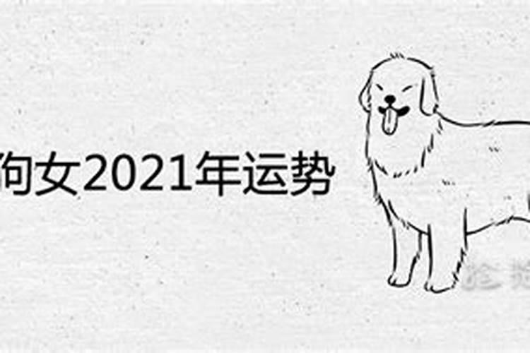 1982年的狗在2021年的运气