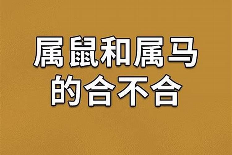 八字算出来准吗算命女生怎么算出来的