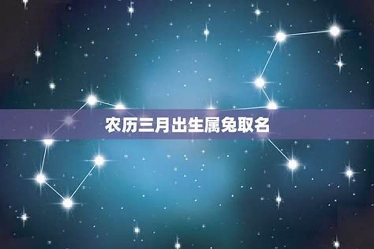 属兔农历3月份的运程如何