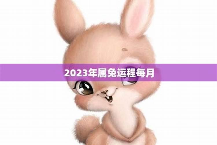 2023年运程兔生肖运程