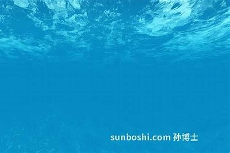 梦见大海水特别清