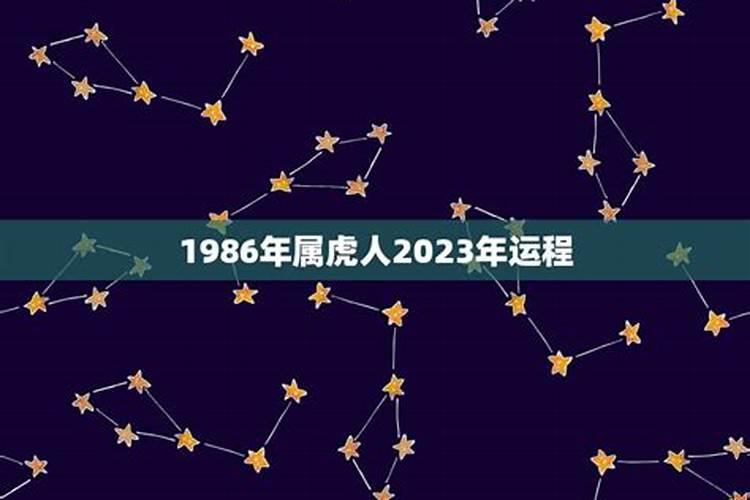 1986属虎的每月命运