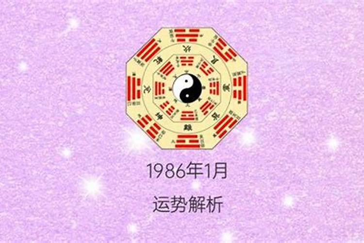 1986年出生的运势