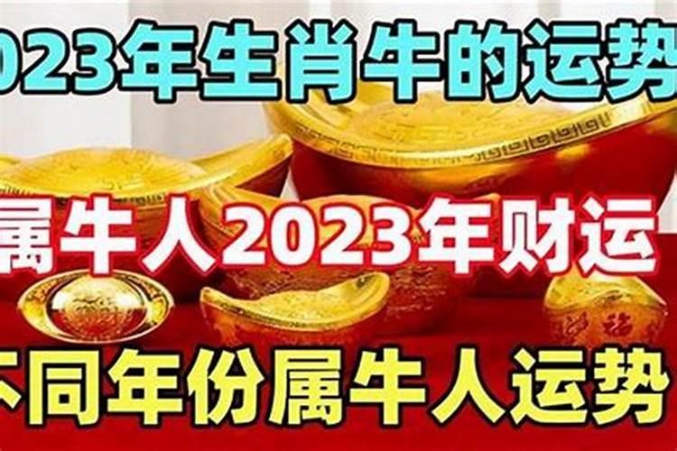 2021年属牛本命年结婚好不好