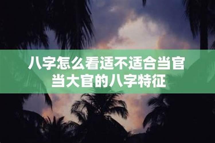 如何测八字适不适合当官的人