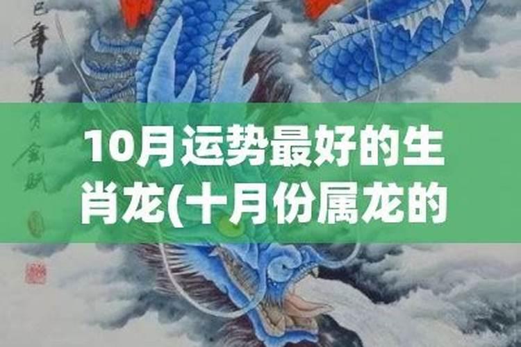 属龙的今年十月份的运势好不好