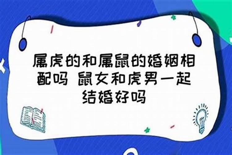 属虎和属鼠的婚姻怎么样,和得来吗