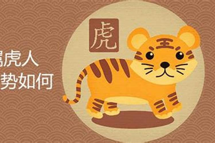 梦到黑猫咬人预示着什么