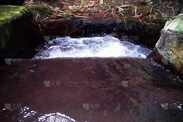 梦见渠里流着很清的水