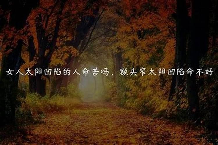 月份11月属什么生肖运势如何