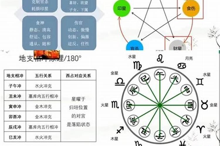 梦到很多猫啥意思