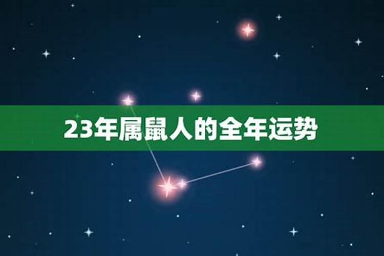 属鼠农历11月运势2020