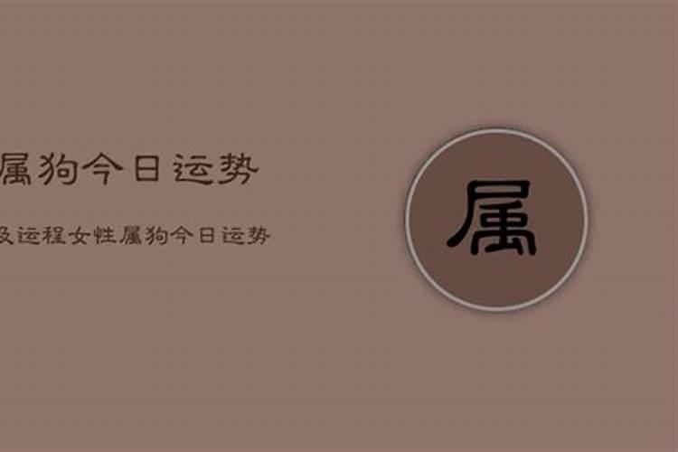 属狗2021年运势及运程女性