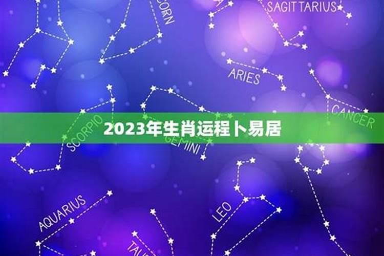 我属兔2023年运程