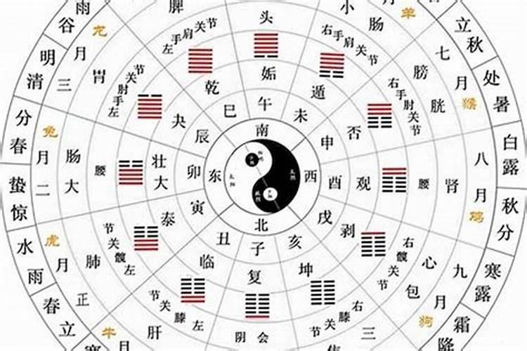 八字算命看天干地支还是纳音