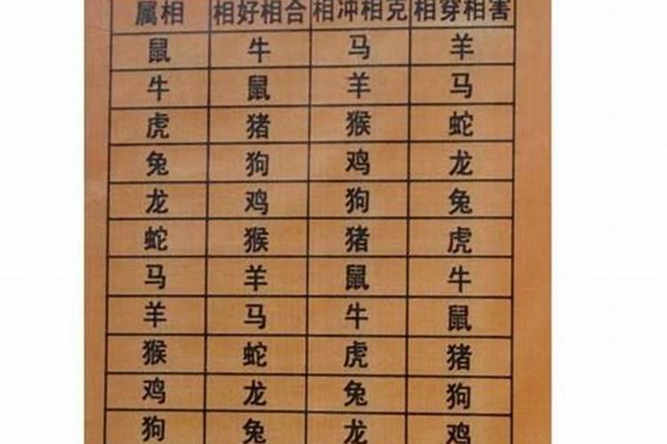 子时和酉时八字合吗